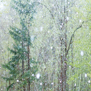 免费无遮挡🔞视频网站有声音
