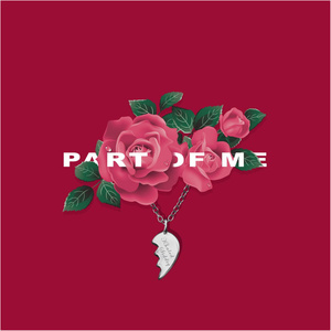 免费无遮挡🔞视频网站有声音
