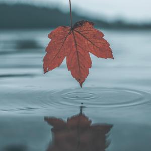 免费无遮挡🔞视频网站有声音
